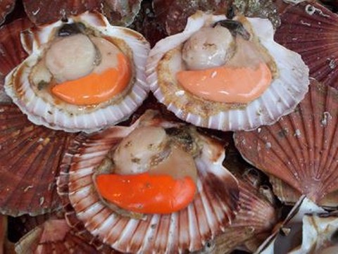 Coquilles saint-Jacques au Savagnin