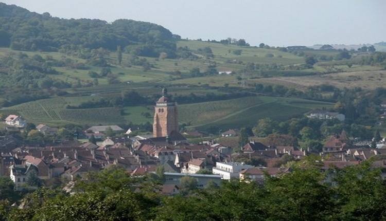 Arbois en hiver